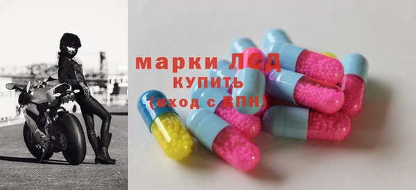 сатива Аркадак