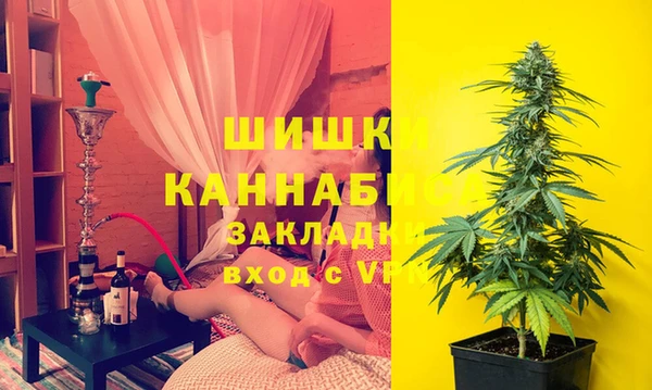 сатива Аркадак