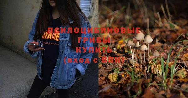 хмурый Покачи