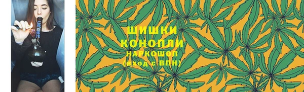 сатива Аркадак