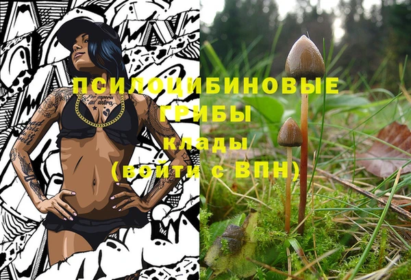 2c-b Армянск