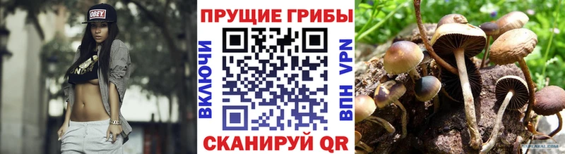 Галлюциногенные грибы мухоморы Карабаш