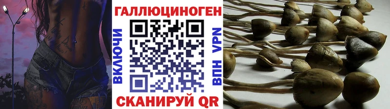 Галлюциногенные грибы мицелий  где купить наркоту  Карабаш 
